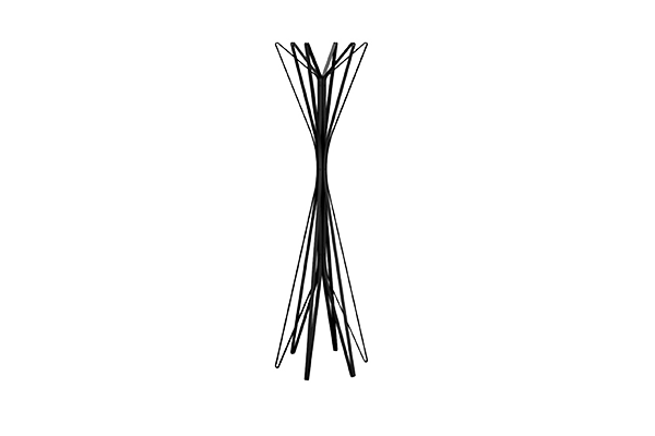 Aster